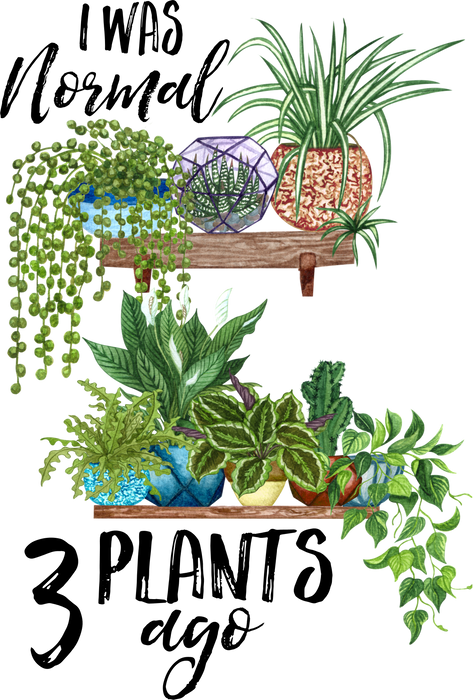 I Was Normal 3 Plants Ago House Plants