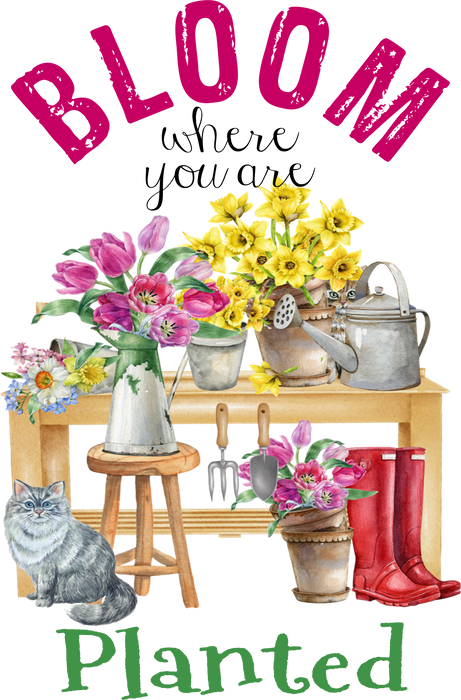 Bloom where you're planted Flowers Cats