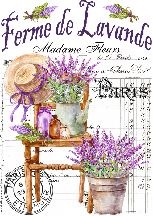 French Garden Lavender