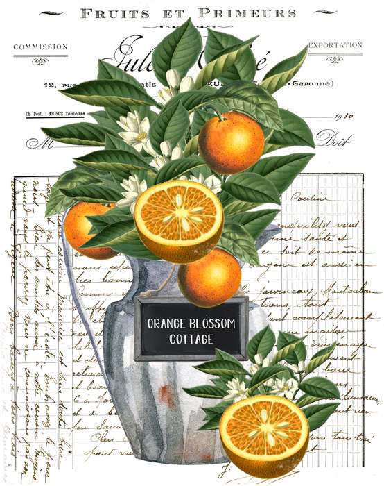 Vintage Orange Blossoms Cottage