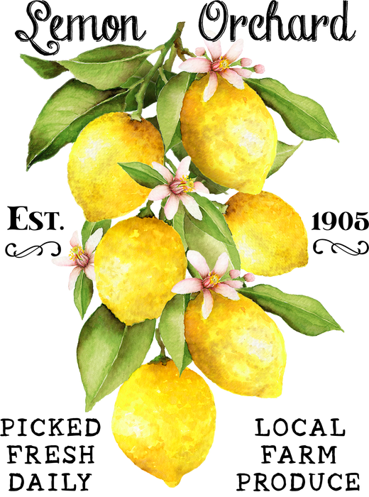 Country Lemon Orchard