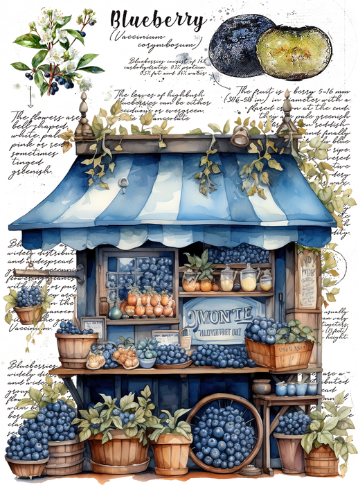 Vintage Blueberry Fruit Cart Market