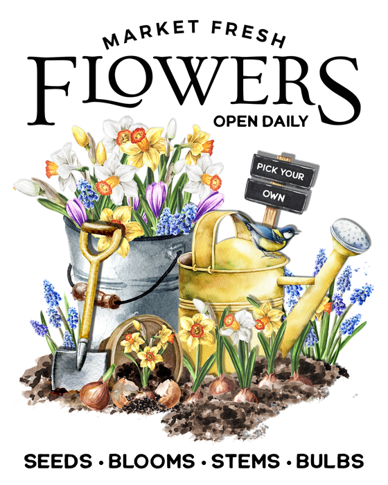 Market Fresh Flowers Daffodils