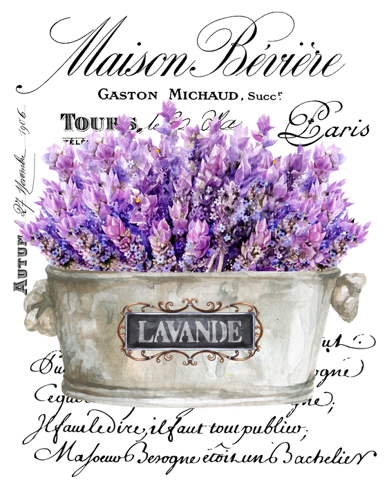 Vintage French Lavender Paris