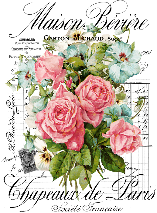 Vintage French Garden Roses Paris