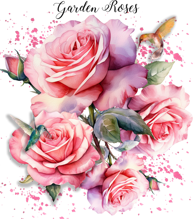 Spring Garden Roses Flowers