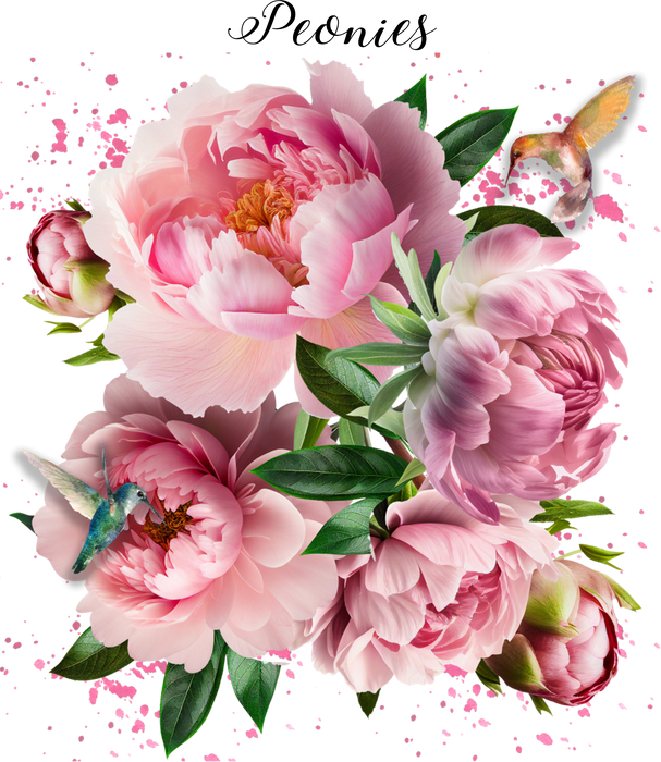 Spring Garden Peonies Flowers