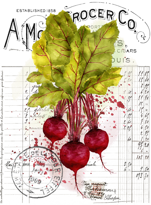 Vintage Farmhouse Beets Root Vegetables