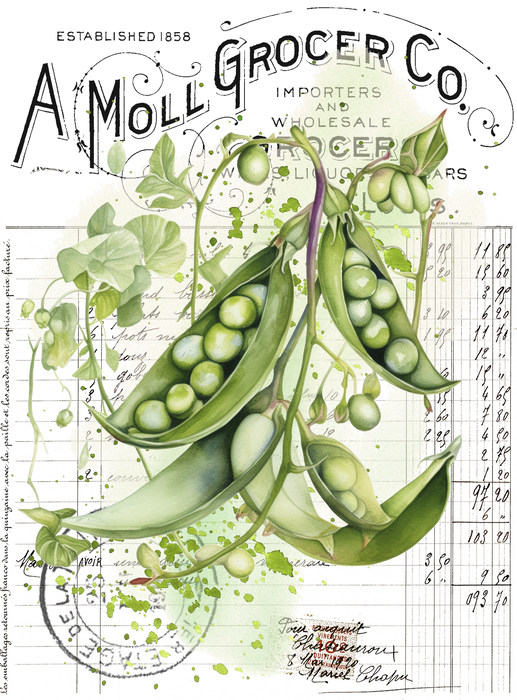 Vintage Farmhouse Peas Pods Vegetables