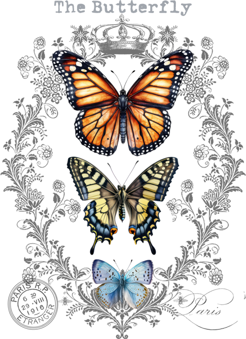 Vintage Butterflies Paris