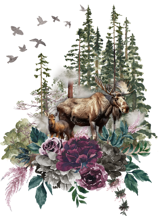 Moose Trees Mountains Wildlife