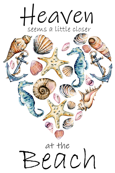 Heart Beach Sea Shells Ocean
