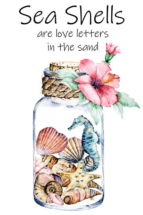 Sea Shells are a Love Letter