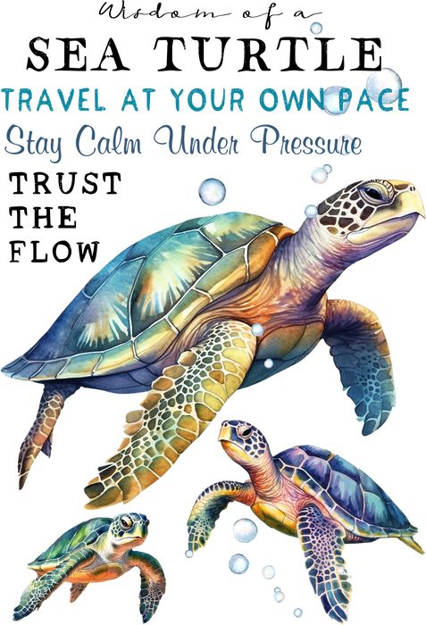 Sea Turtle Wisdom Coastal Beach
