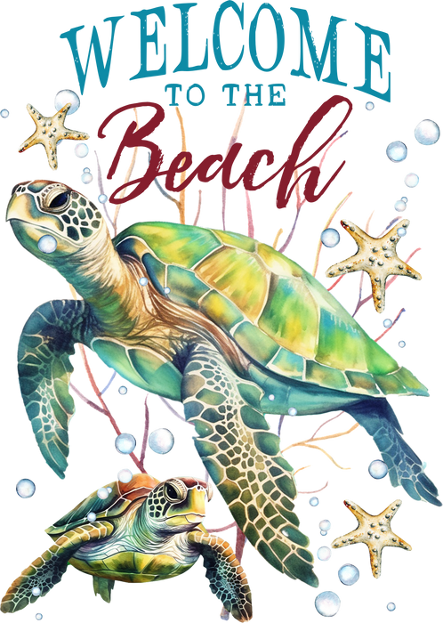 Sea Turtles Welcome to the Beach Coastal