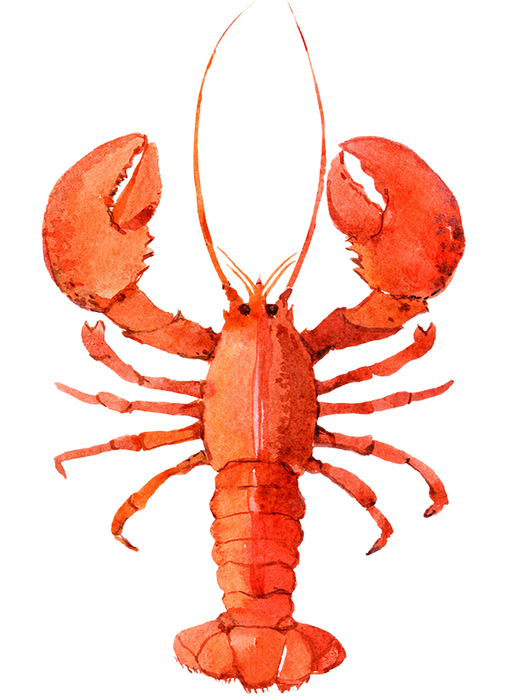 Maine Lobster Coastal