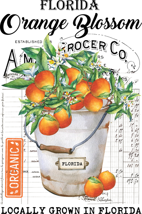 Florida State Flower Orange Blossom