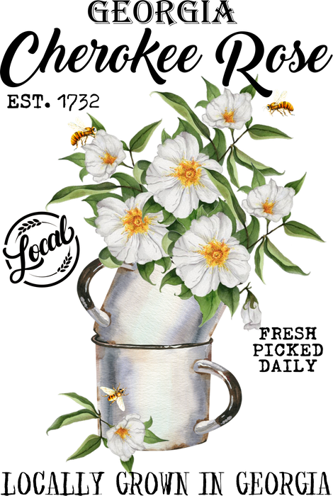 Georgia State Flower Cherokee Rose