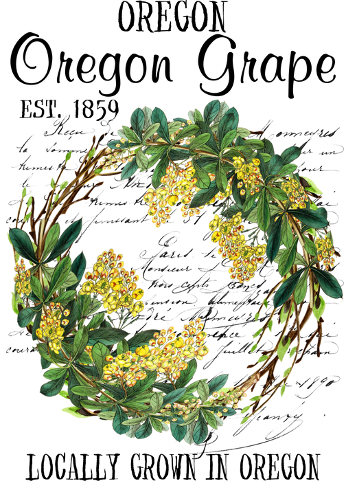 Oregon Grape State Flower