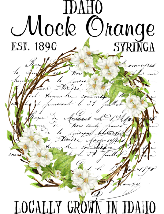 Idaho State Flower Mock Orange Syringa