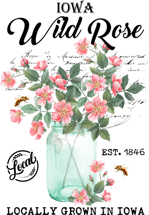 Iowa State Flower Wild Rose
