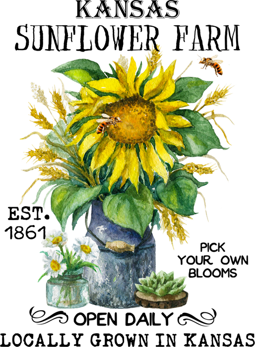 Kansas State Flower Sunflower