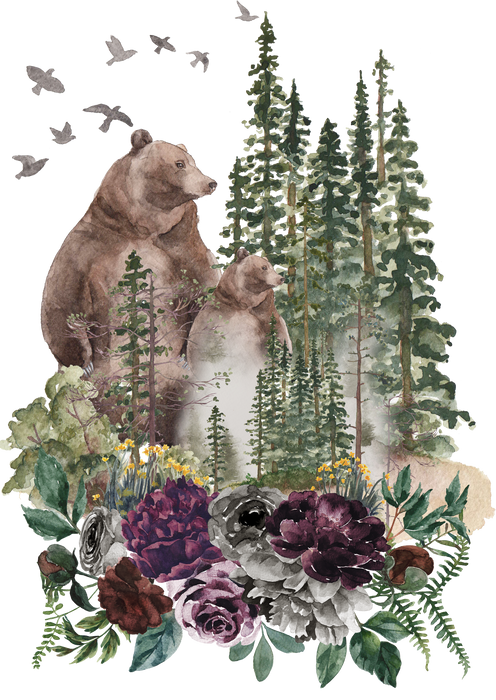 Bear Forest Mountains Wildlife