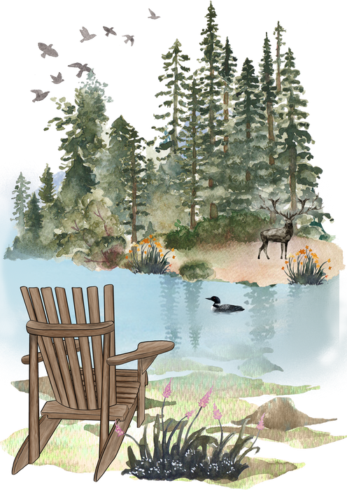 Andirondacks Chairs Lake Mountain