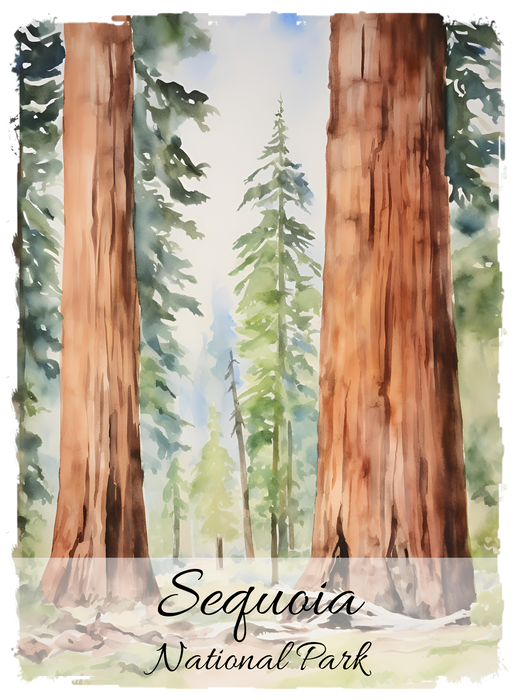 Sequoia National Park California