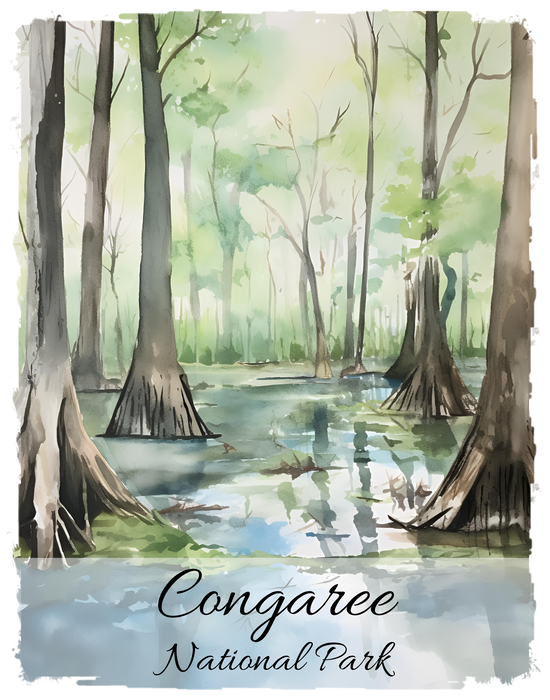 Congaree National Park South Carolina