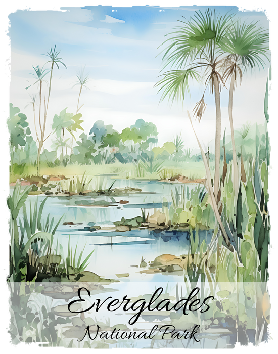 Everglades National Park Florida