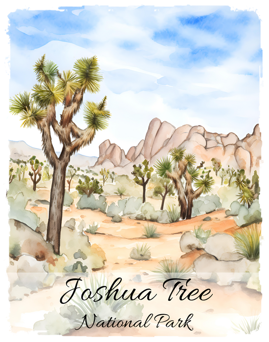 Joshua Tree National Park California
