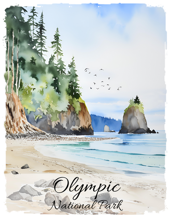 Olympic National Park Washington