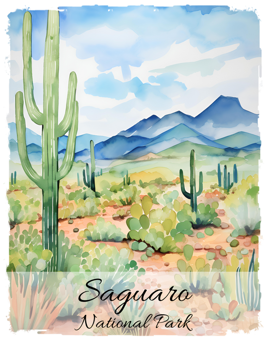 Saguaro National Park Arizonia