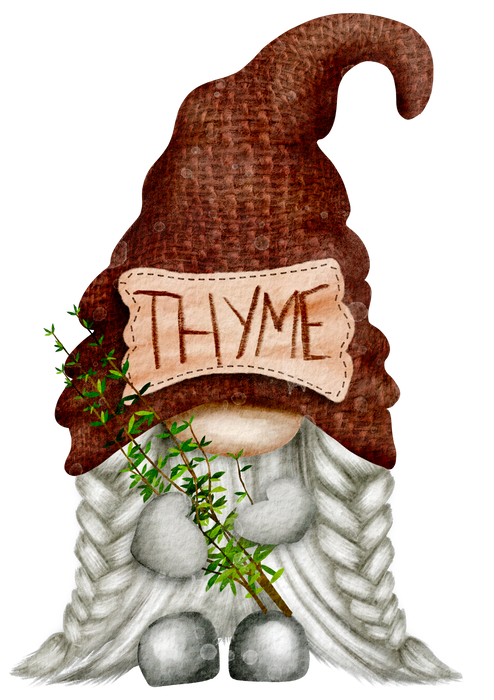 Gnome Herbs Thyme