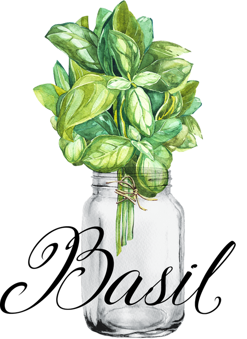 Farm Fresh Herbs Basil Kitchen