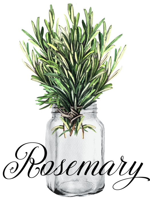 Farm Fresh Herbs Rosemary Kitchen