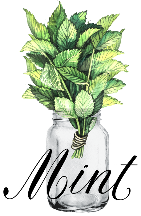 Farm Fresh Herbs Mint