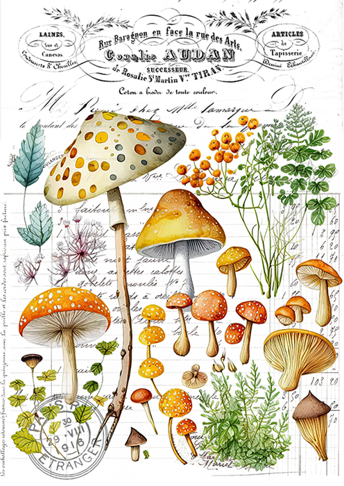 Vintage Mushrooms Botanicals 12 oz Canvas Tote Bag