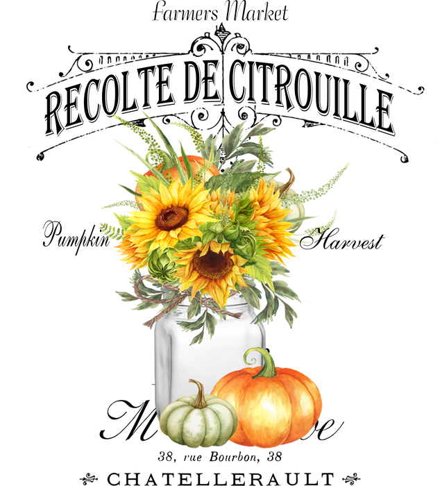 Fall Autumn Pumpkin Harvest French