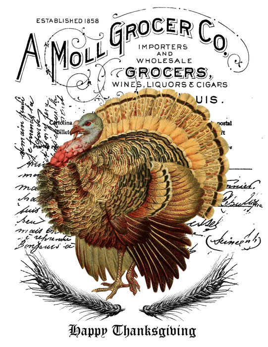 Vintage Farm Turkey Thanksgiving