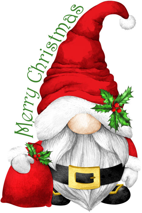 Christmas Gnome Santa Claus