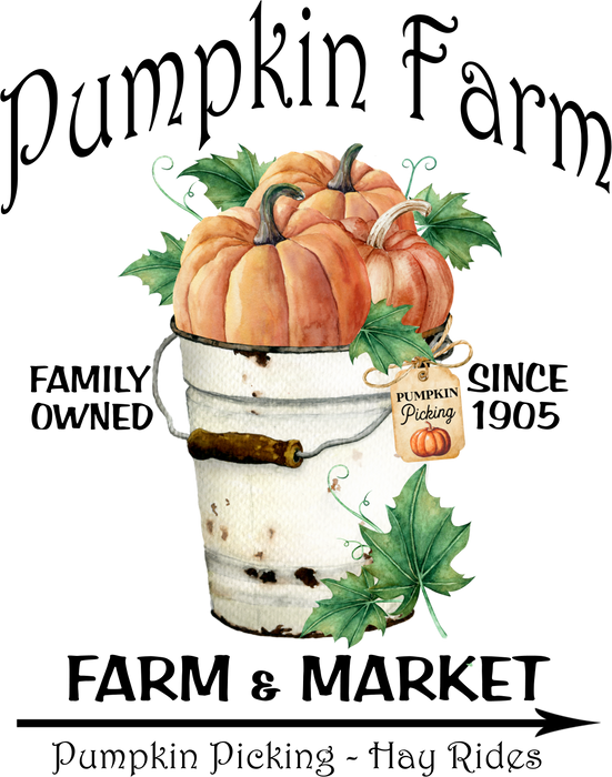 Fall Autumn Pumpkin Farm Market