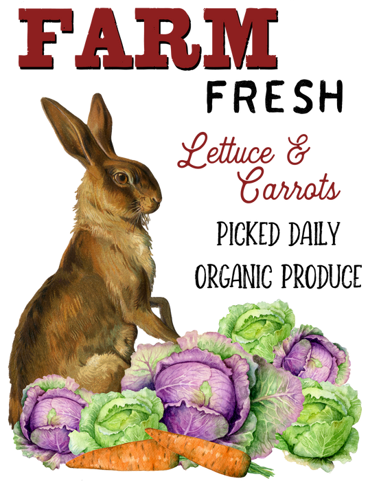Easter Farm Fresh Lettuce Bunny