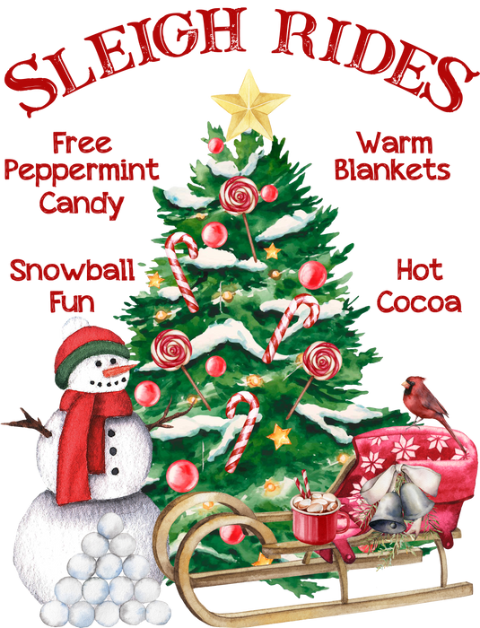 Christmas Sleigh Rides Snowman  Terry Towel