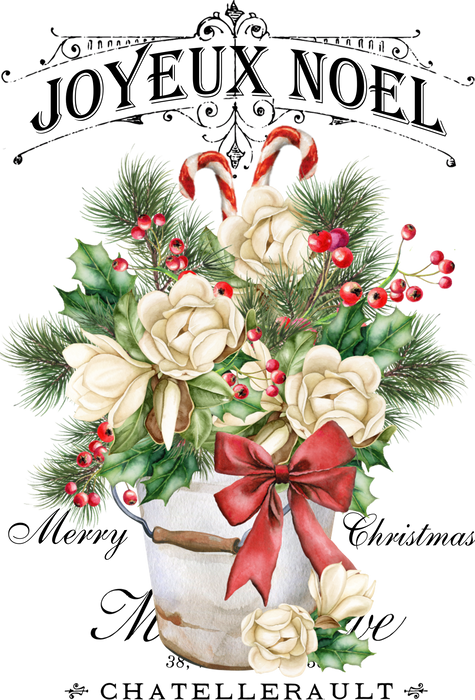 Christmas French Joyeux Noel Magnolia Flowers