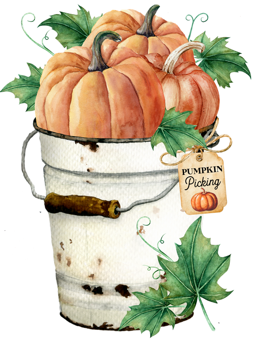 Autumn Pumpkin