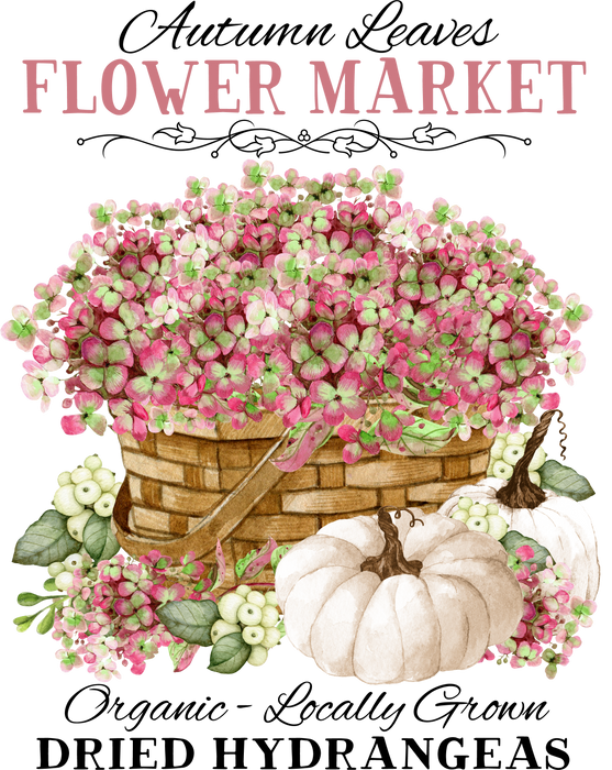 Autumn fall Dried hydrangeas Pumpkin
