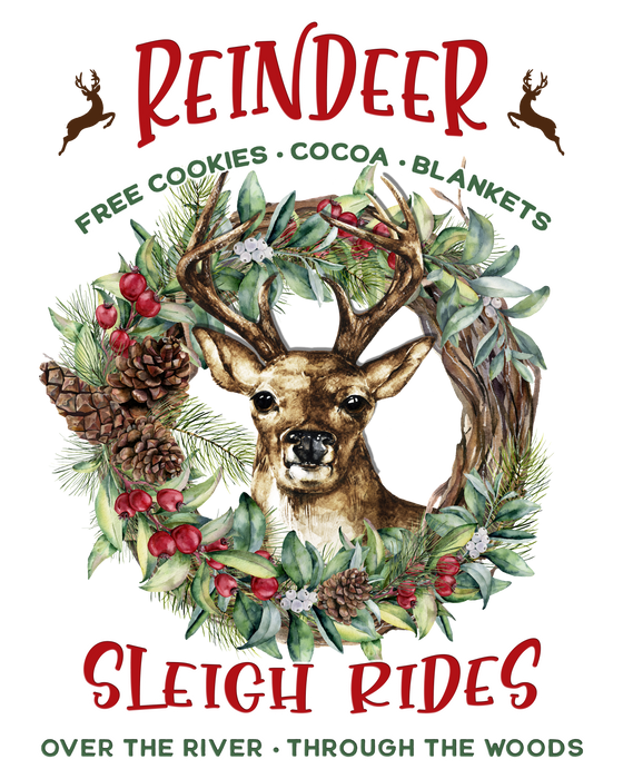 Christmas Reindeer Sleigh Rides