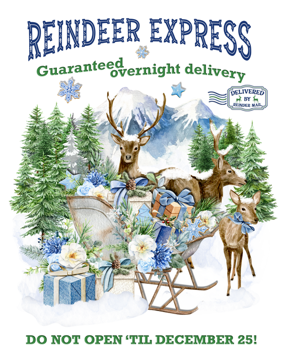 Christmas Blue Reindeer Express